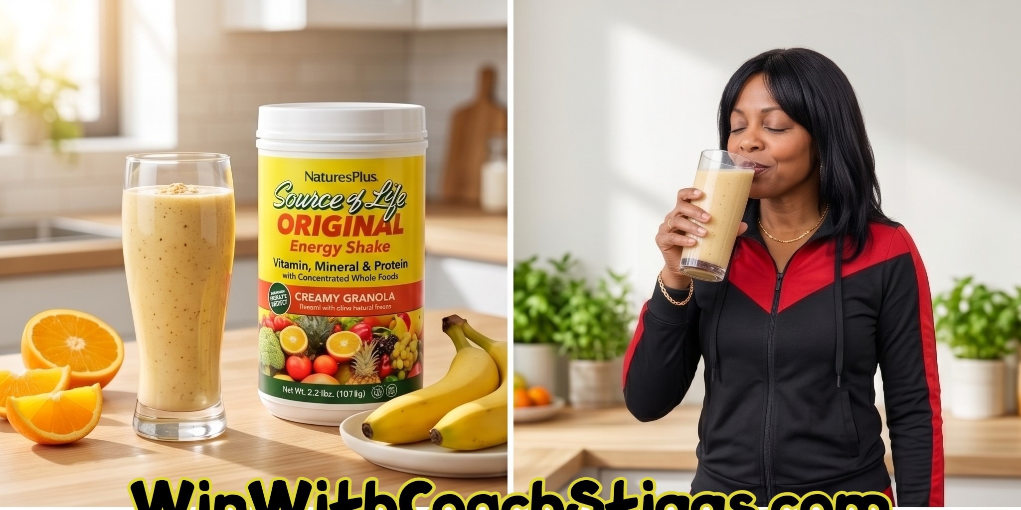 Nature's Plus Source of Life — Energy Shake